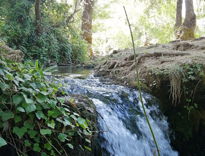 Cascades du refuge , Ifrane
