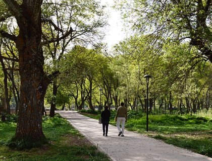 Le Parc National d'Ifrane, Ifrane