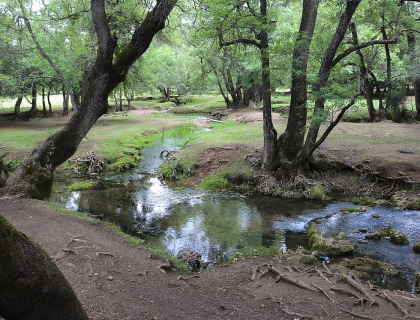 Les sources Vittel, Ifrane