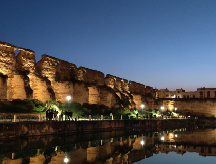 Sahrij Swani : Un Joyau Historique de Meknès, Meknès