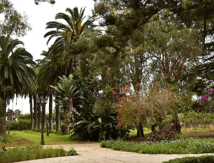 حديقة التجارب النباتية, الرباط
