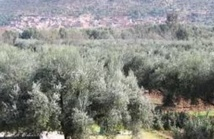 Les élèves d'Ifrane à l'école du respect de l'environnement, Libération