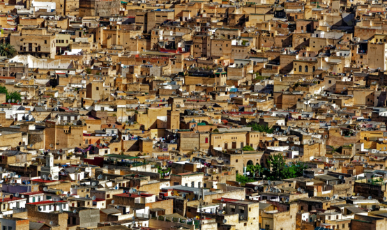 Visita guidata della Medina di Fès, Fès-Médina