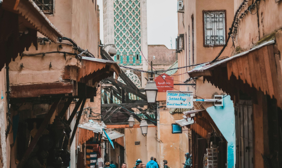 Escursione di una Giornata a Fès, Fès-Médina