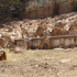 Agadir > La Vallée des Oiseaux d'Agadir