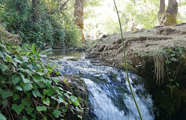 Ifrane > Cascades du refuge 
