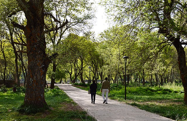 Ifrane > Le Parc National d'Ifrane