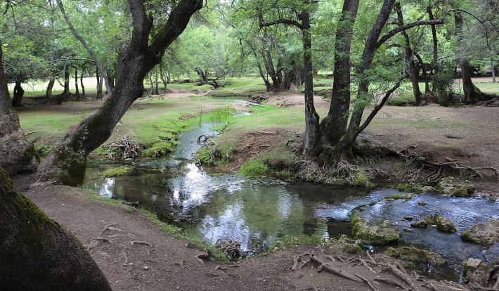 Ifrane > Les sources Vittel