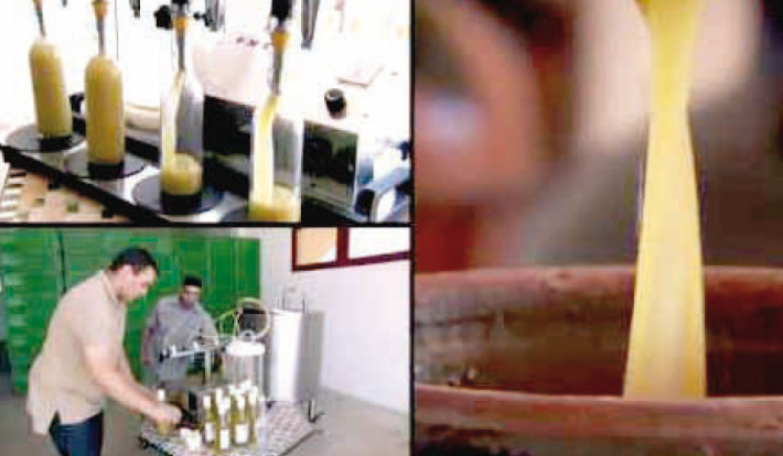 La concurrence sur l’huile d’olive s’accentue