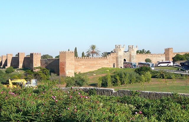 الرباط > Les jardins de Chellah